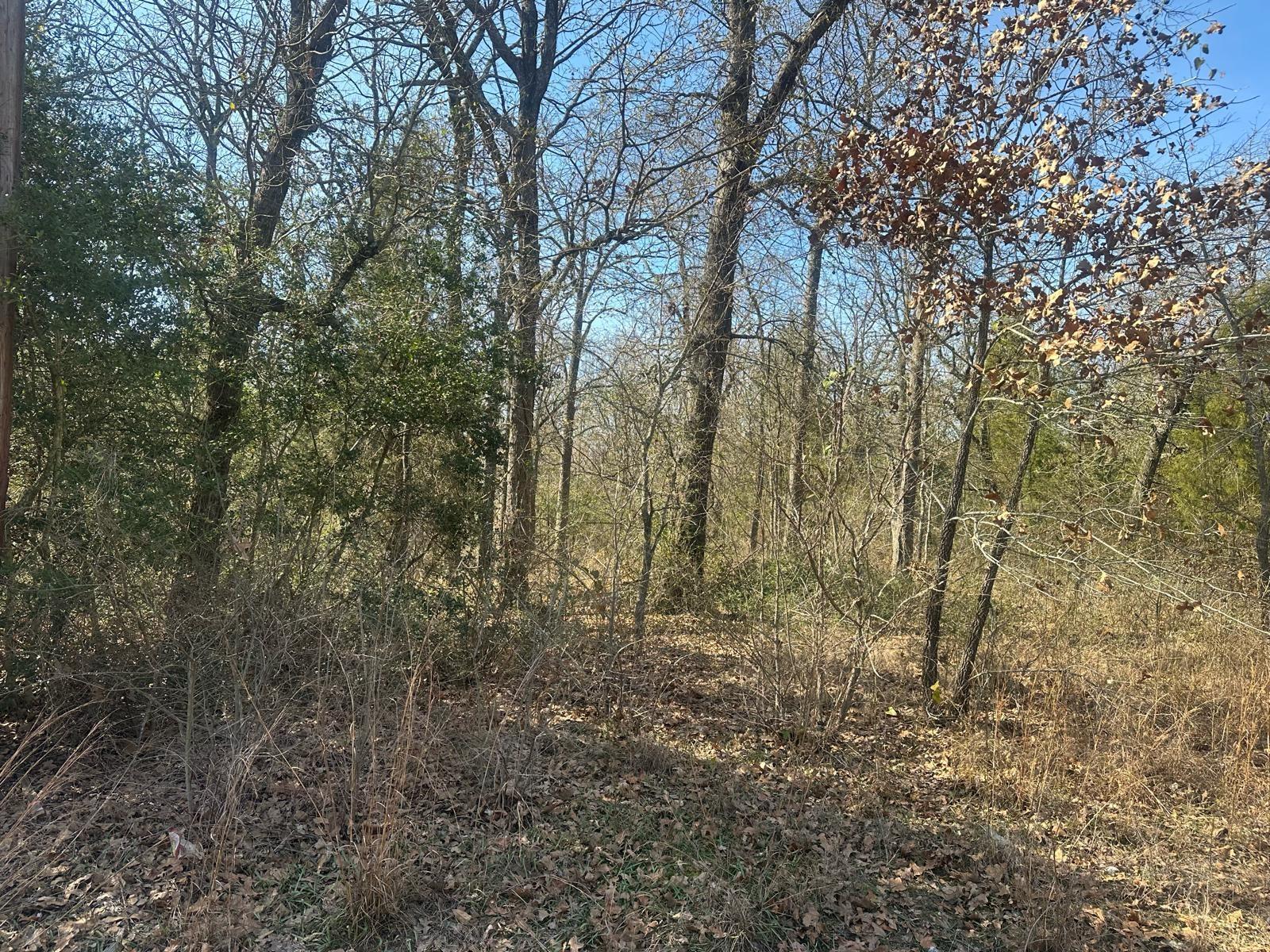 Image 2 Image 2