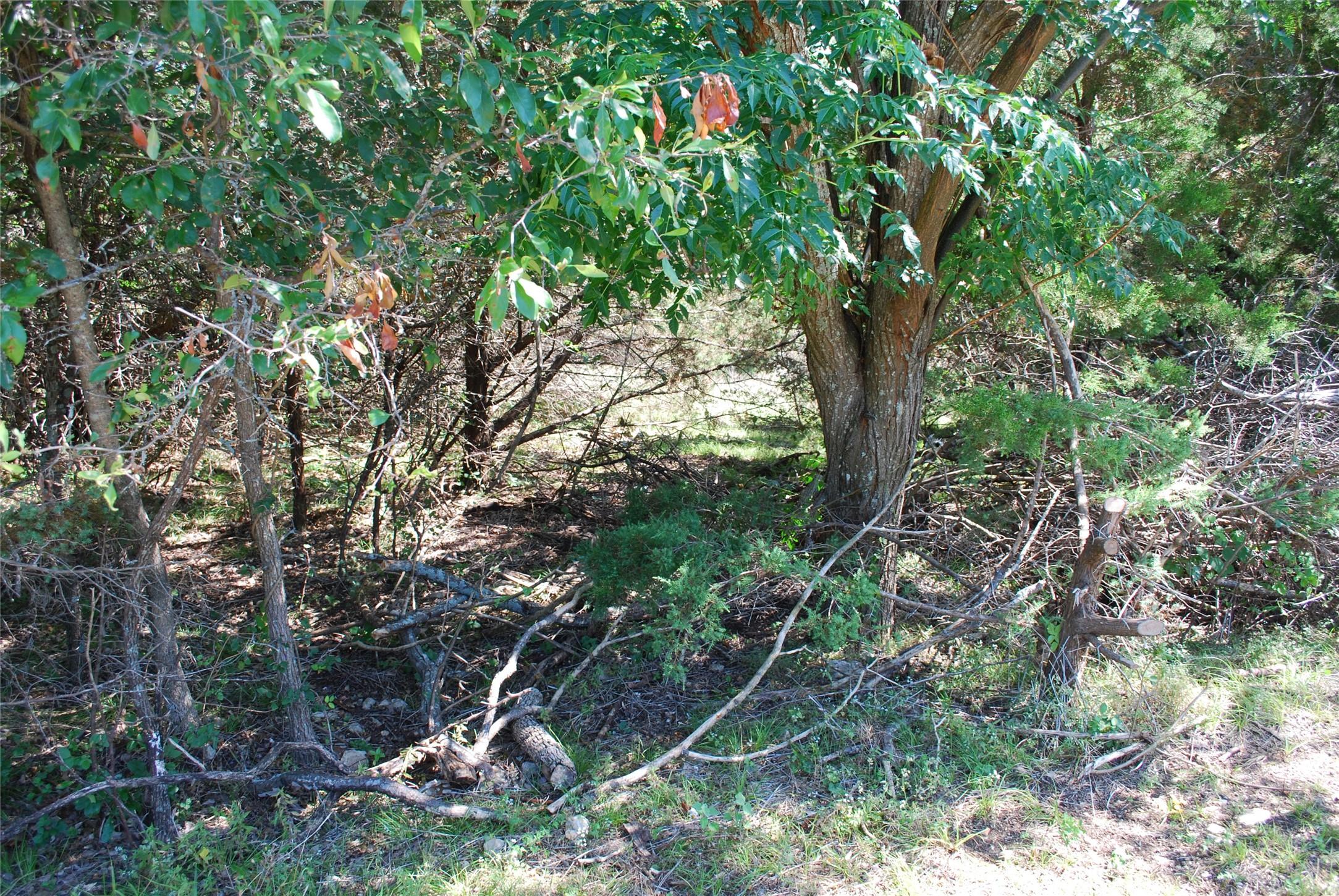 Image 3 Image 3