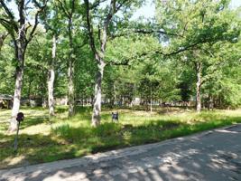 1253 Arrowhead Drive