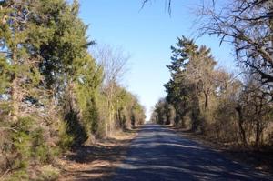 TBD Frank Wood Road