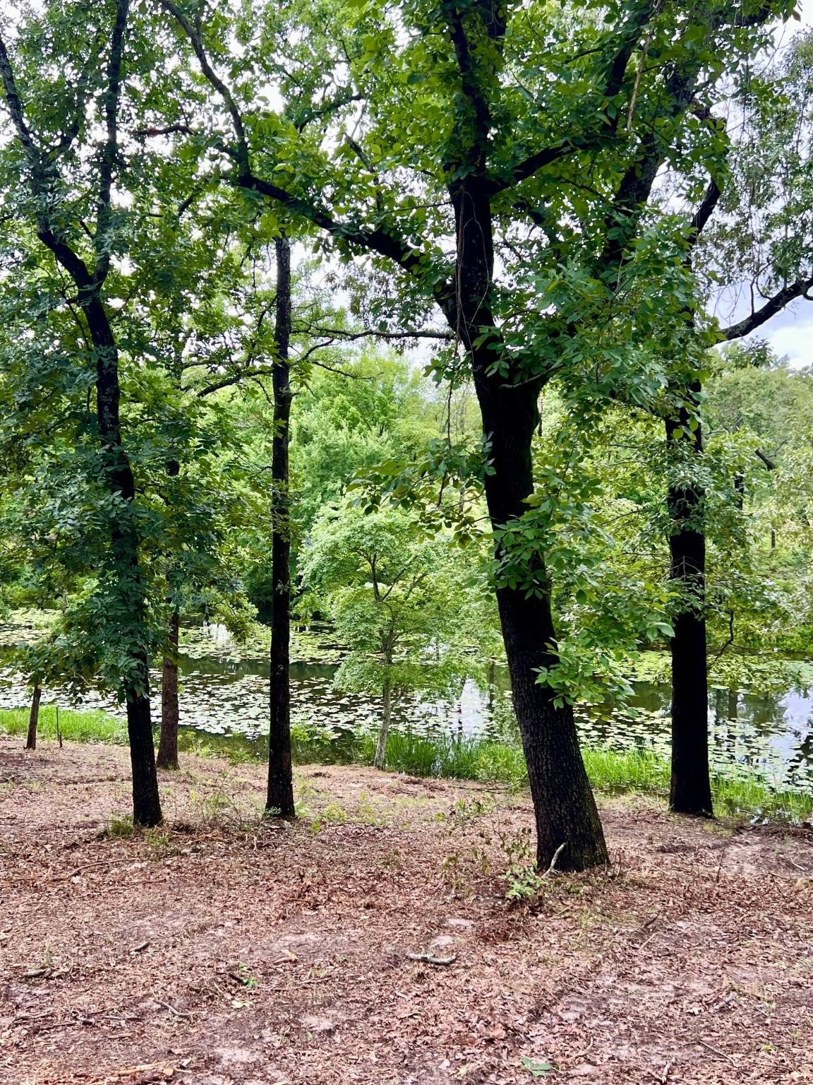 Image 3 Image 3