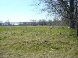 4 County Road 1859 Lot 4