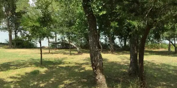 Lot 25 Lot 25 SE County Road 3048C