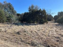 29046 Cedar Hill Drive