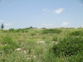Oak Tree Drive Lot 219