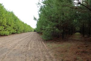301 Private Road 8608