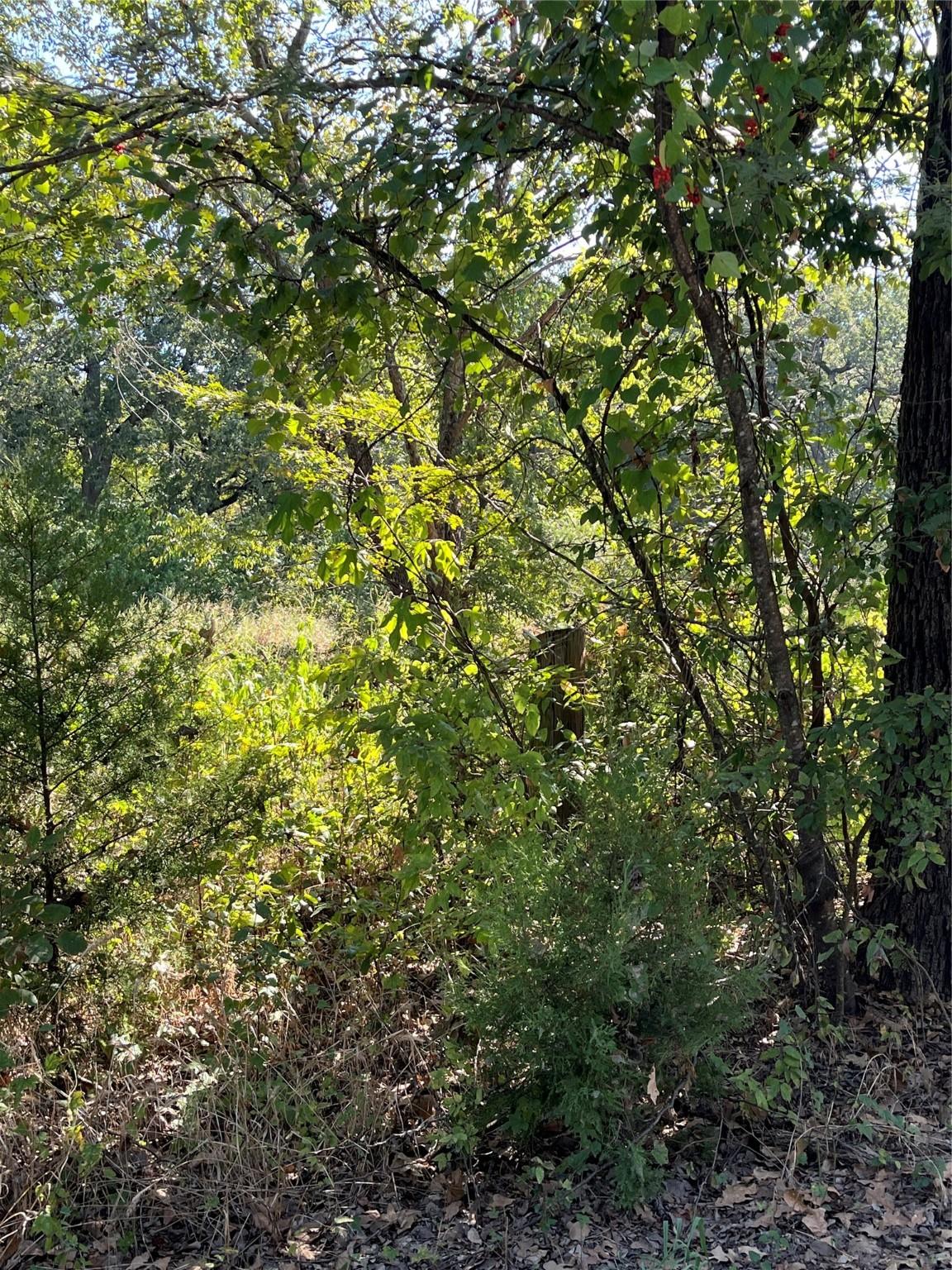Image 1 Image 1