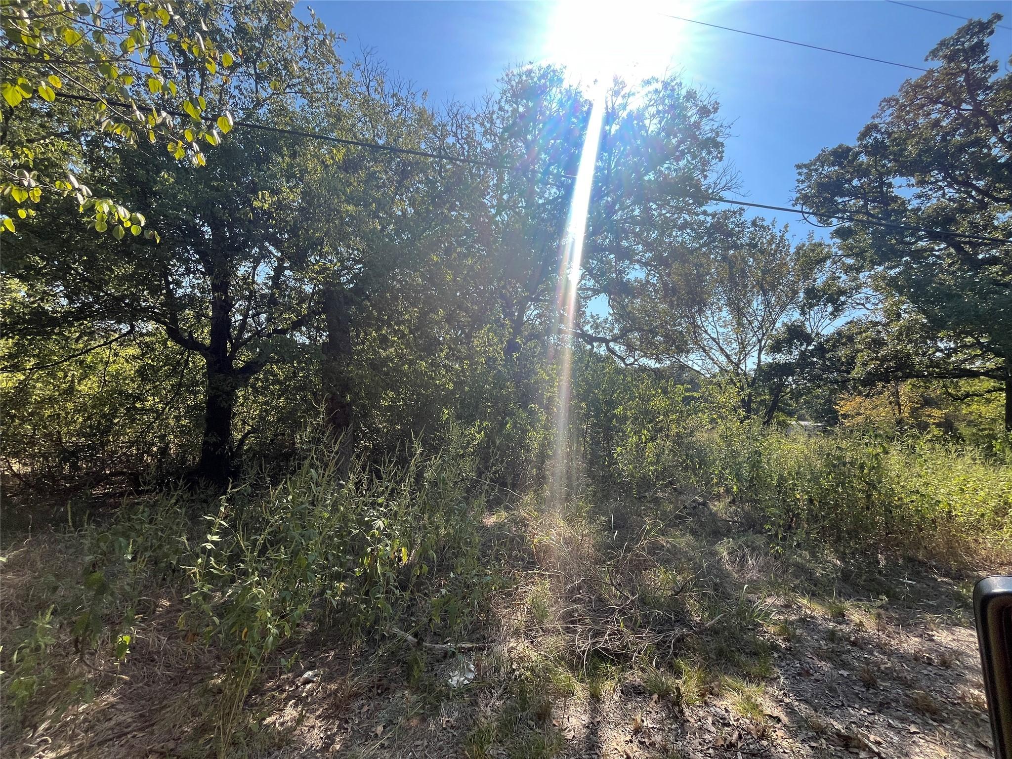Image 2 Image 2