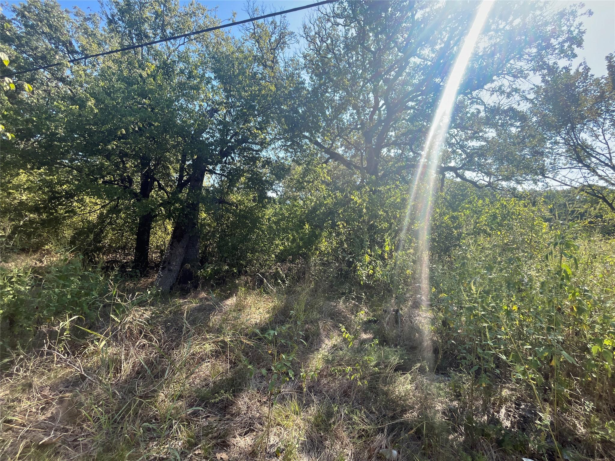 Image 3 Image 3