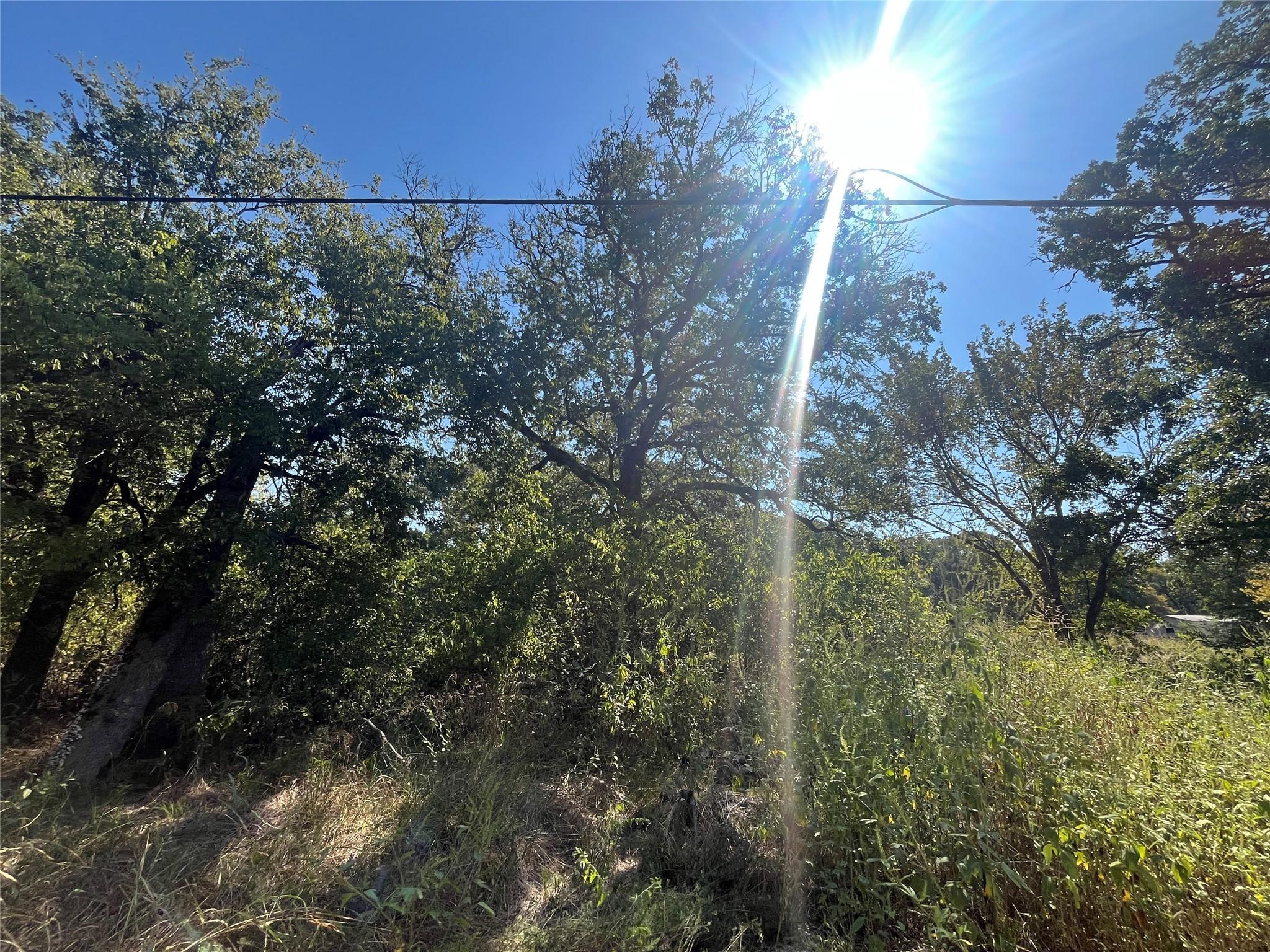 Image 4 Image 4