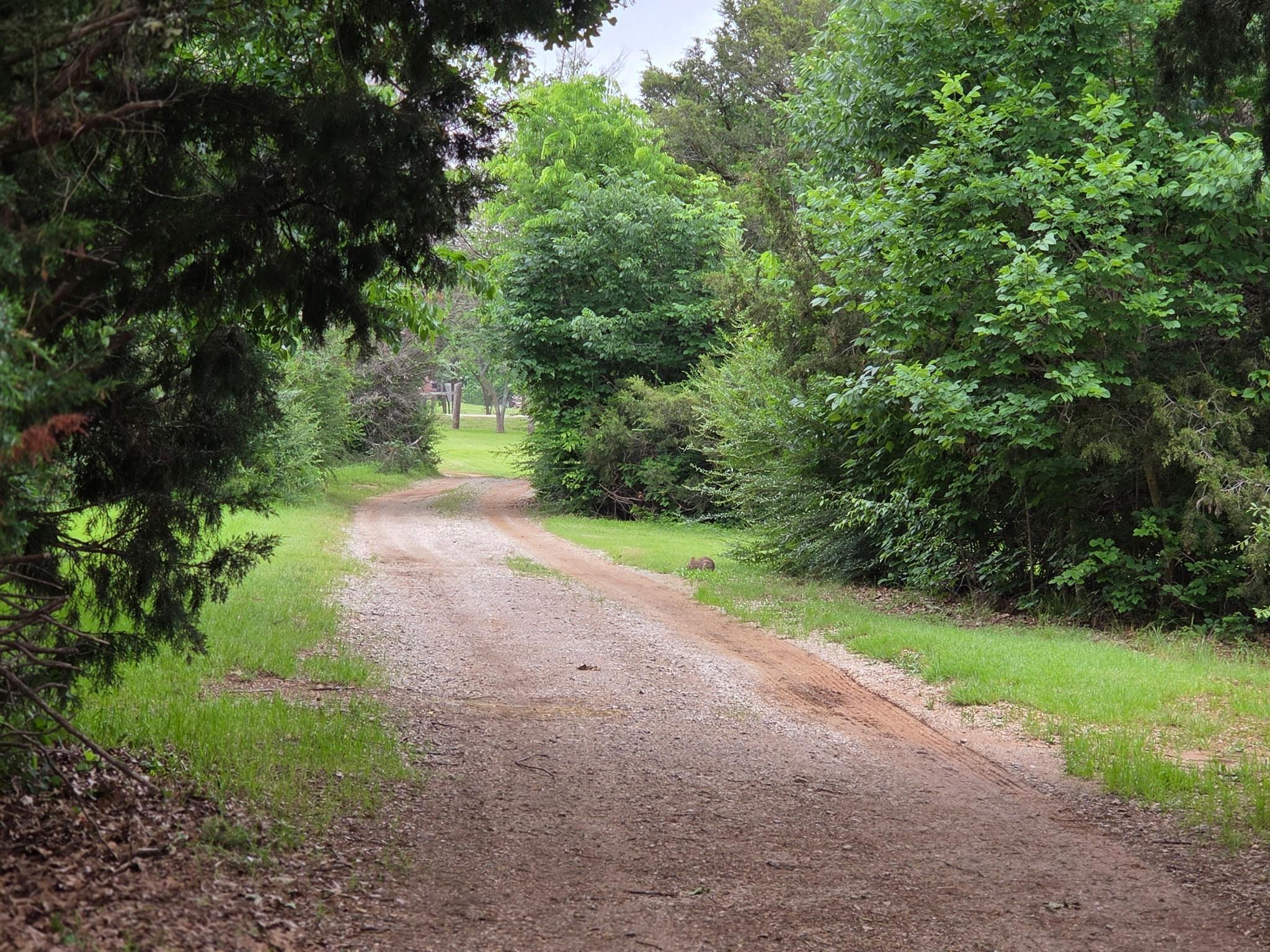 Image 3 Image 3