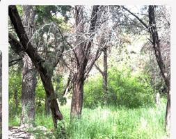 6201 Lake Granbury Trail