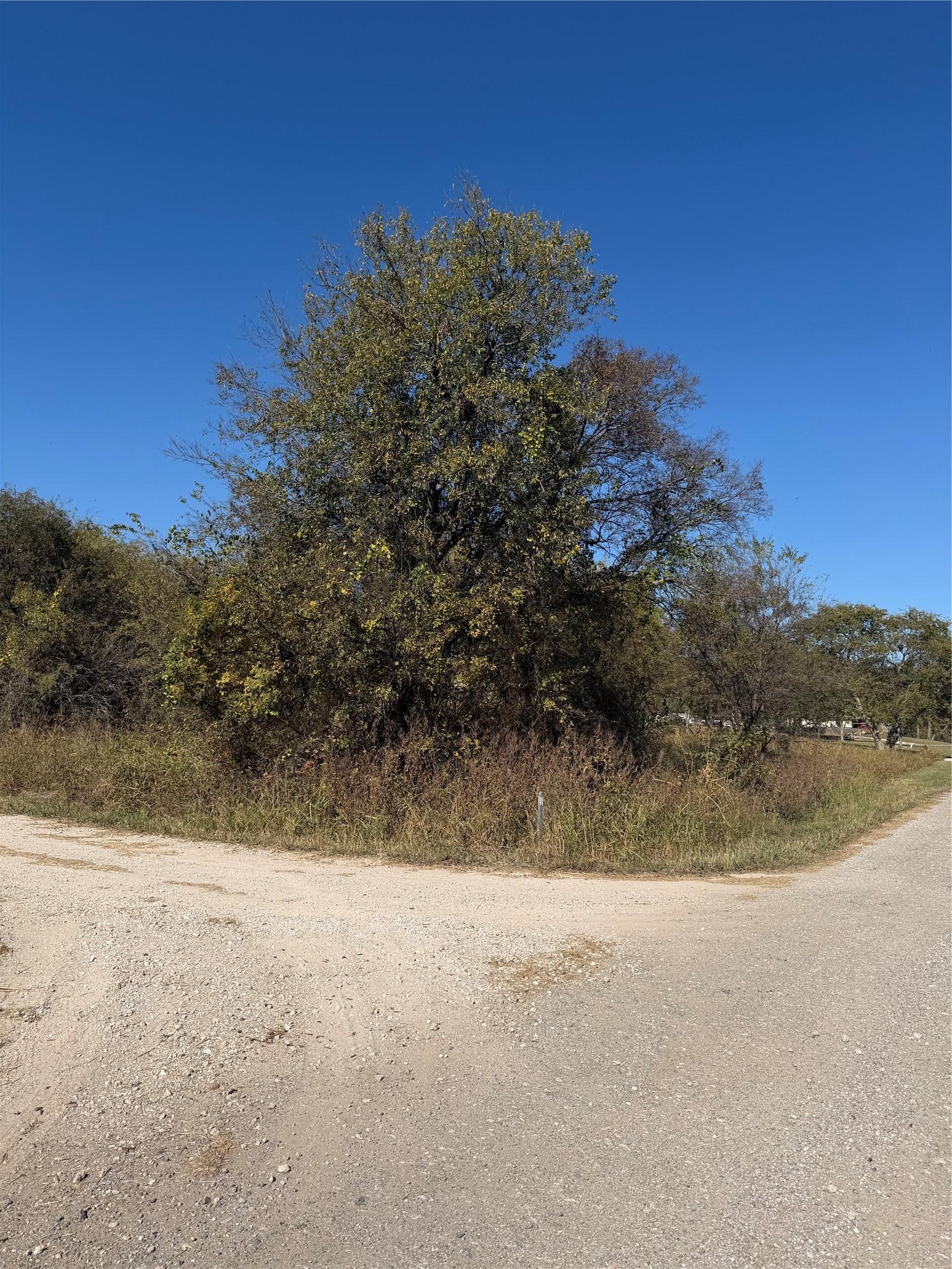 Image 3 Image 3