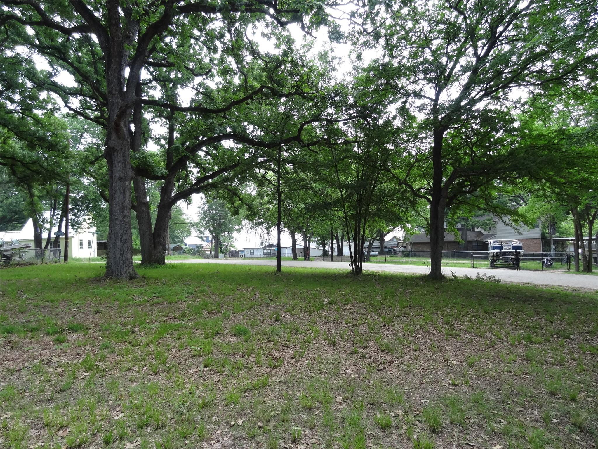 Image 1 Image 1