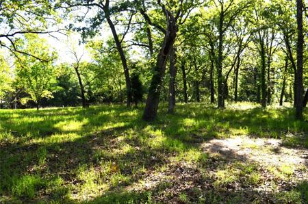 LOT 93 Point Lavista
