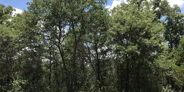 Image 3 Image 3