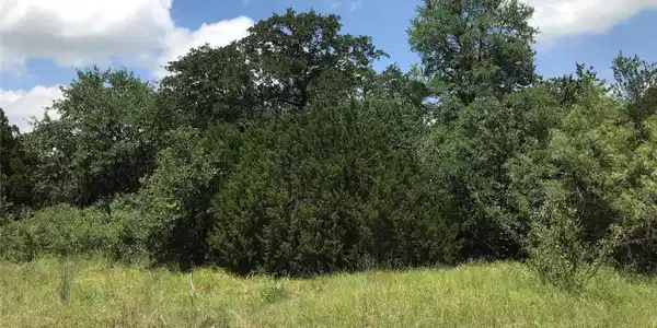 Image 4 Image 4