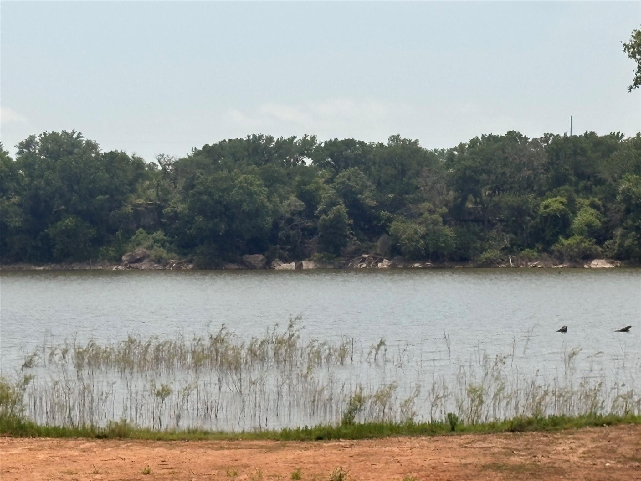 Image 4 Image 4
