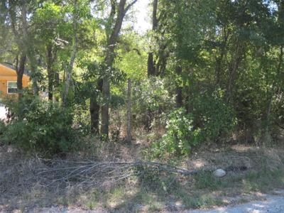 1119 Boot Trail Court