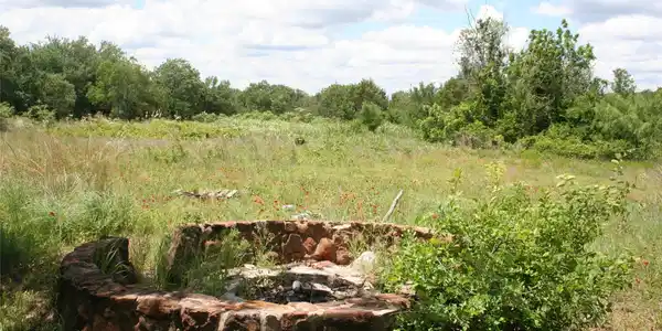 Image 4 Image 4