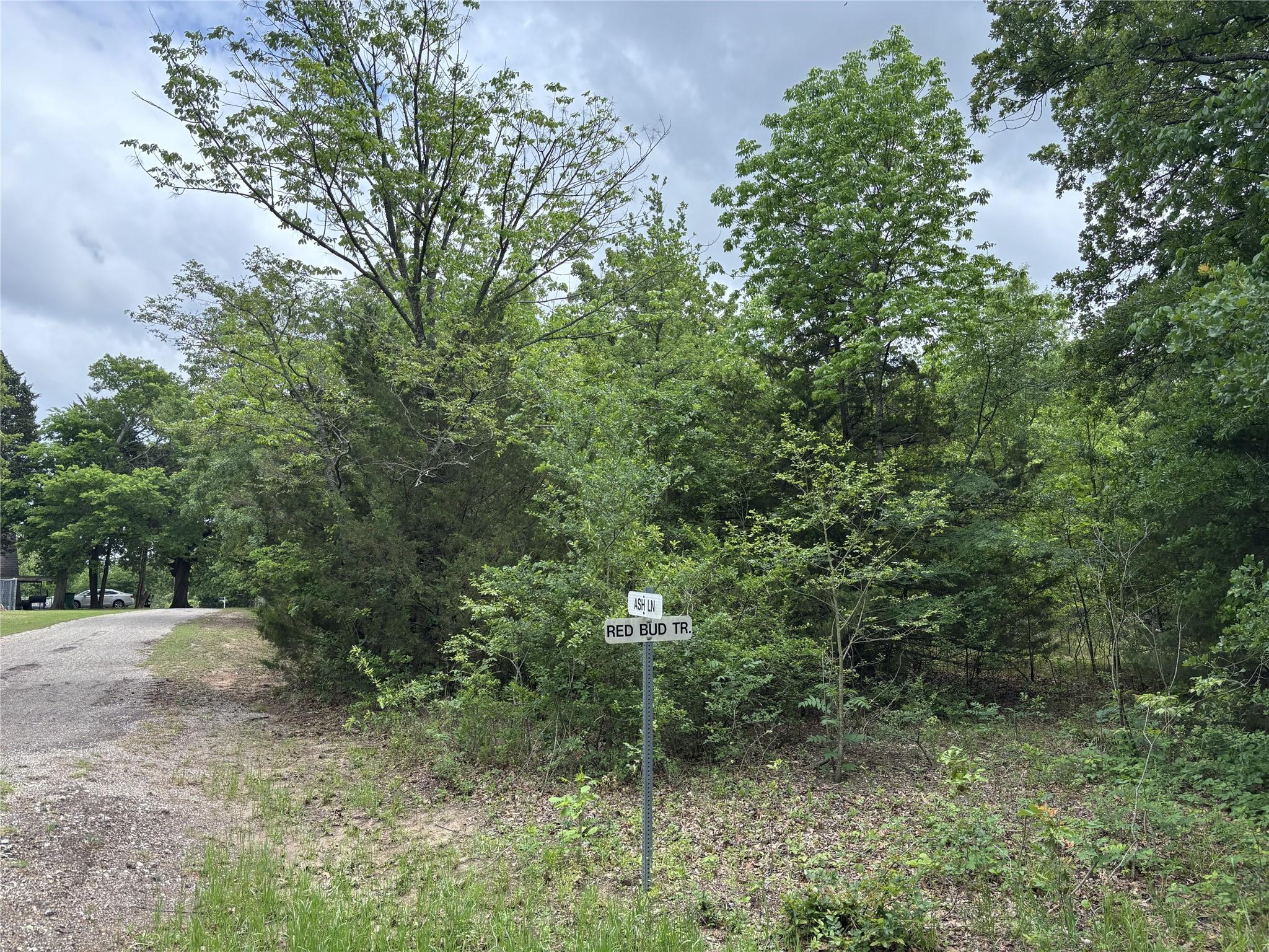 Image 1 Image 1