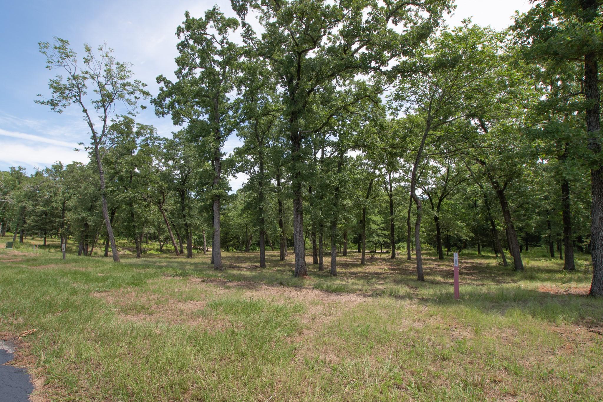 Image 4 Image 4