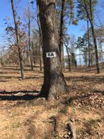 Lot 6A Indian Marker Trail
