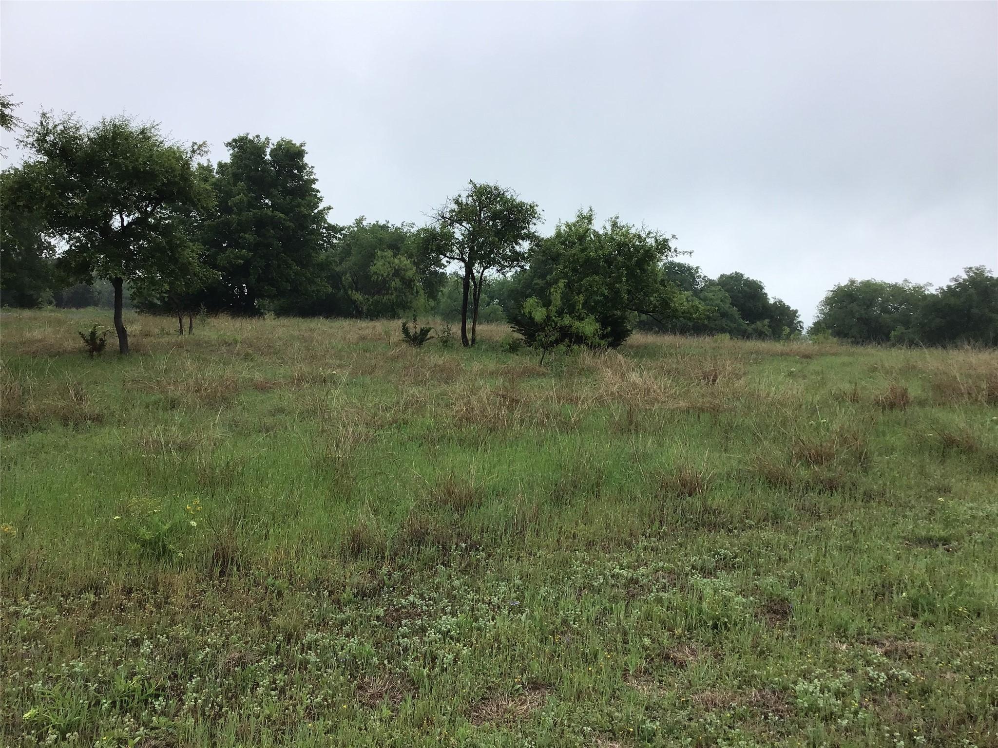 Image 4 Image 4