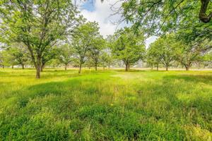 2505 Birchwood