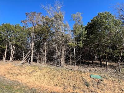Lot 33 Palisades