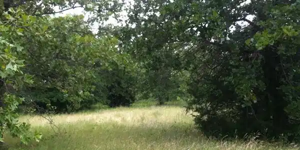 7 Loper Circle Lot 7,8