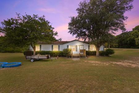 17414 Orange Blossom