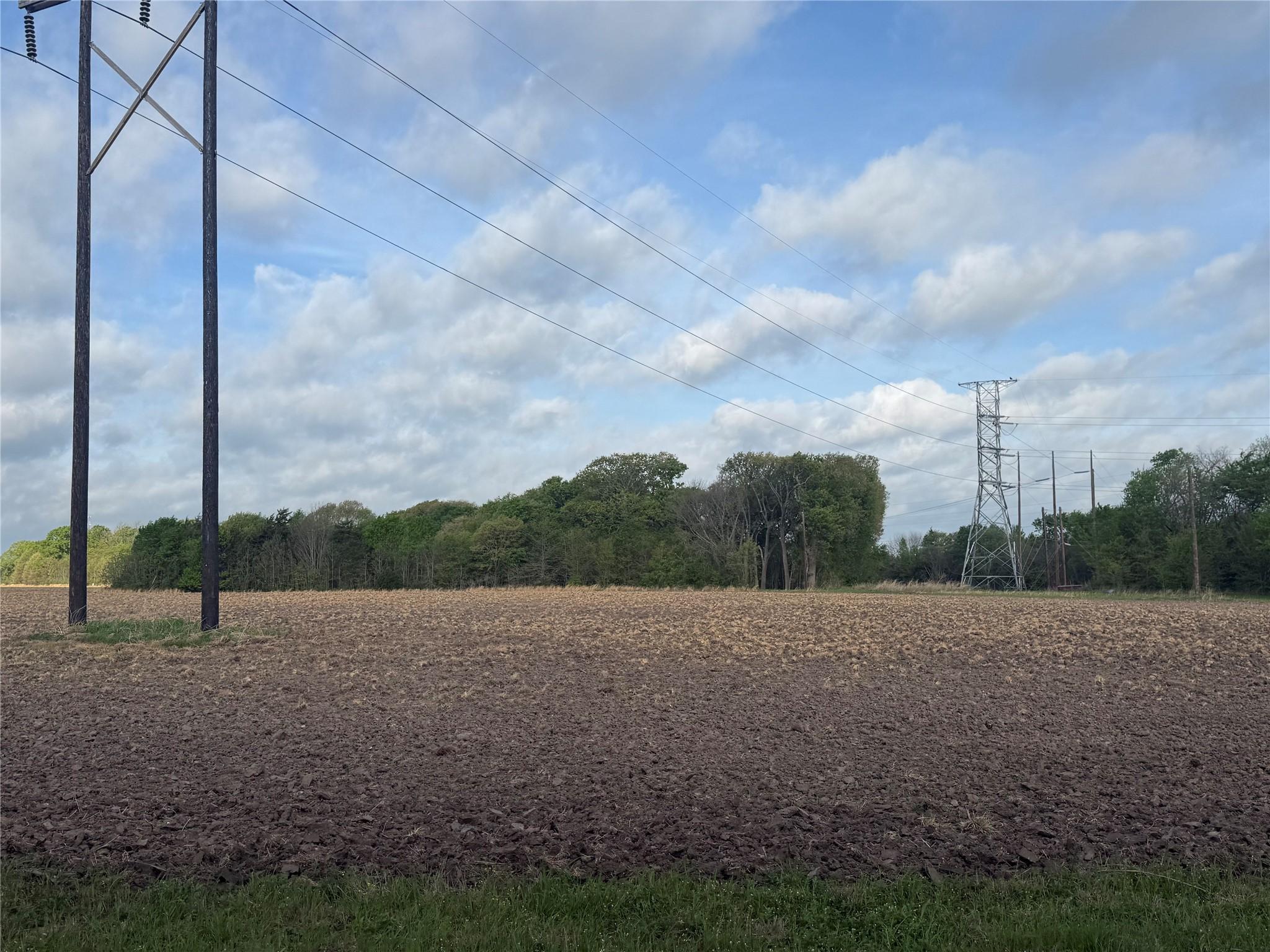 Image 4 Image 4