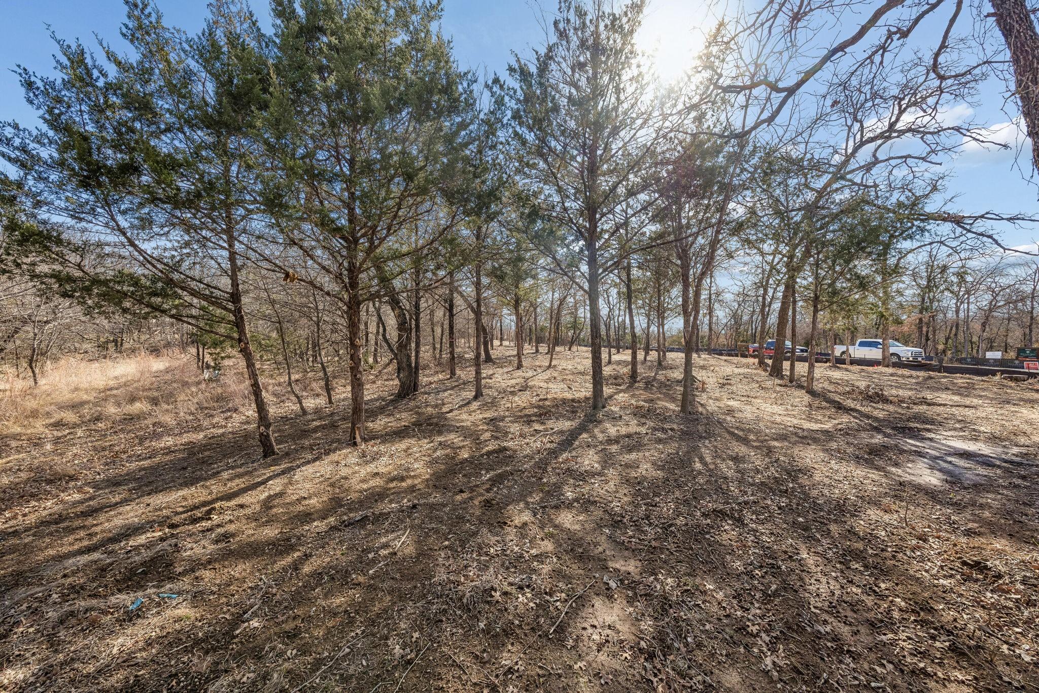 Image 3 Image 3