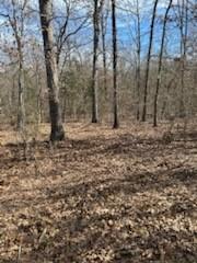 0000TBD County Road 2428