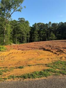 0 Quail A Trail