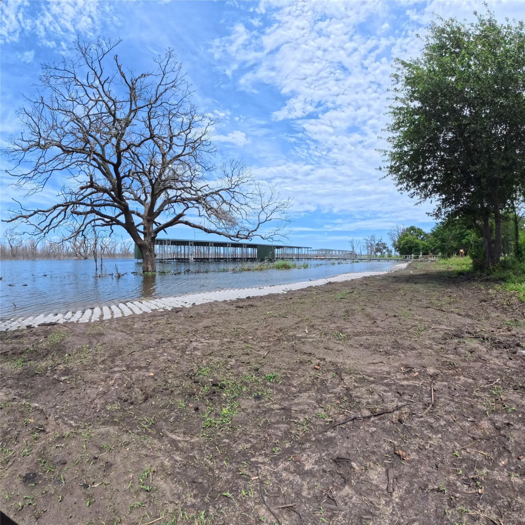 Image 4 Image 4