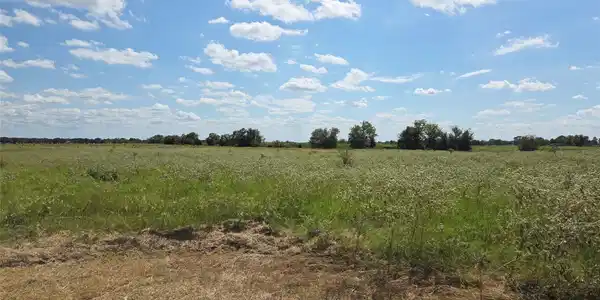 Image 4 Image 4