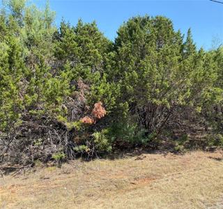 32015 Dove Trail