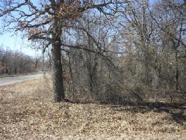0 Shady Oaks Drive Lot 1