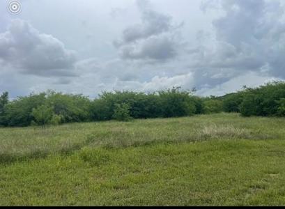 Lot 444 Indigo Bush Court