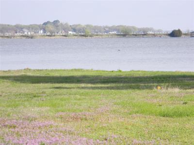 1245 Beach View