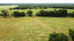 Lot 7 FM514 Road