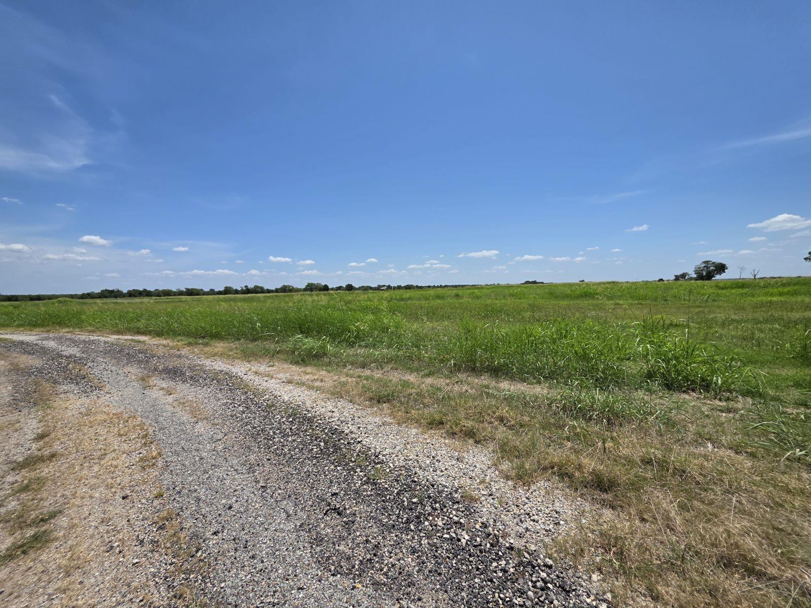 Image 3 Image 3