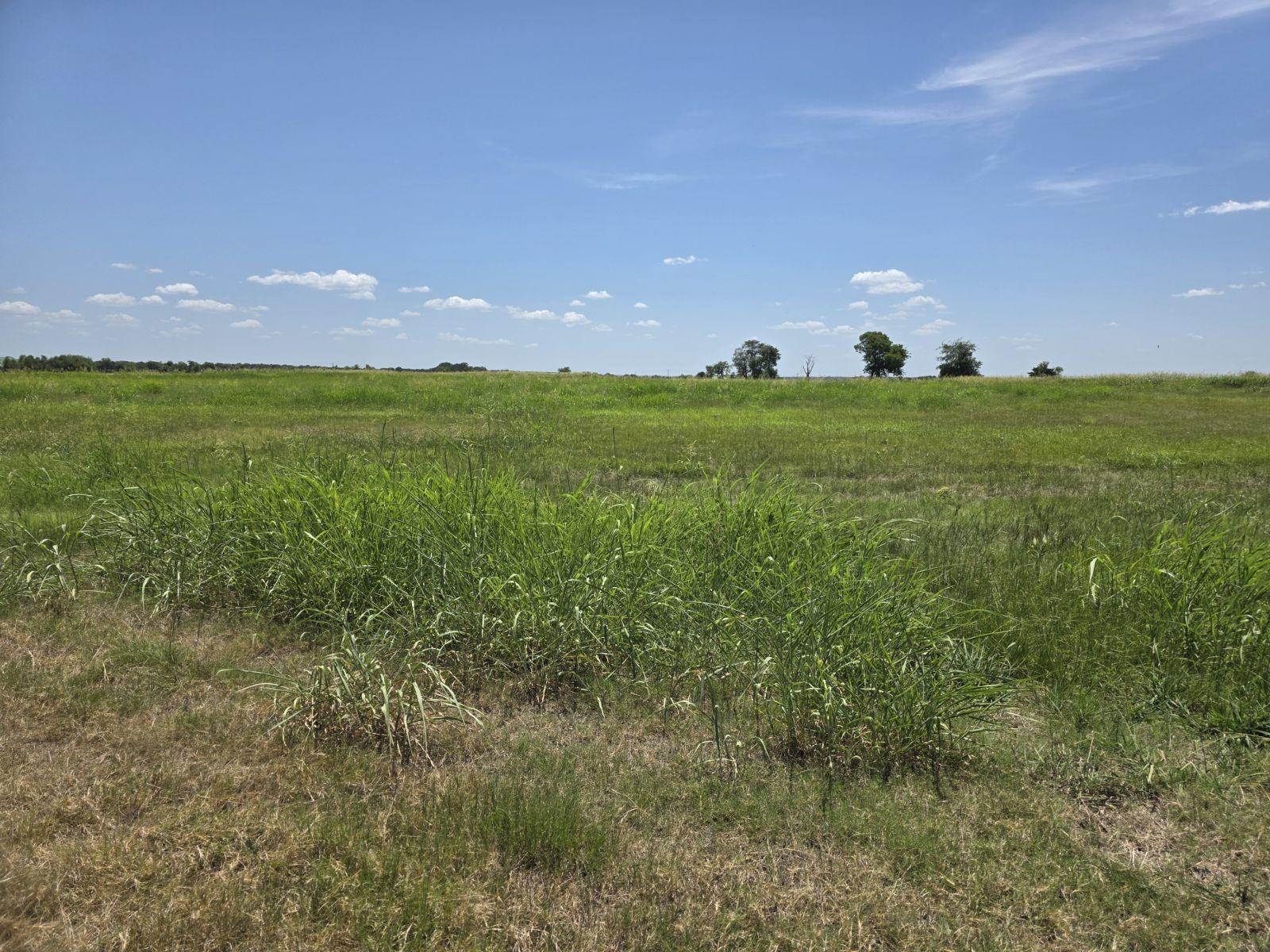 Image 4 Image 4