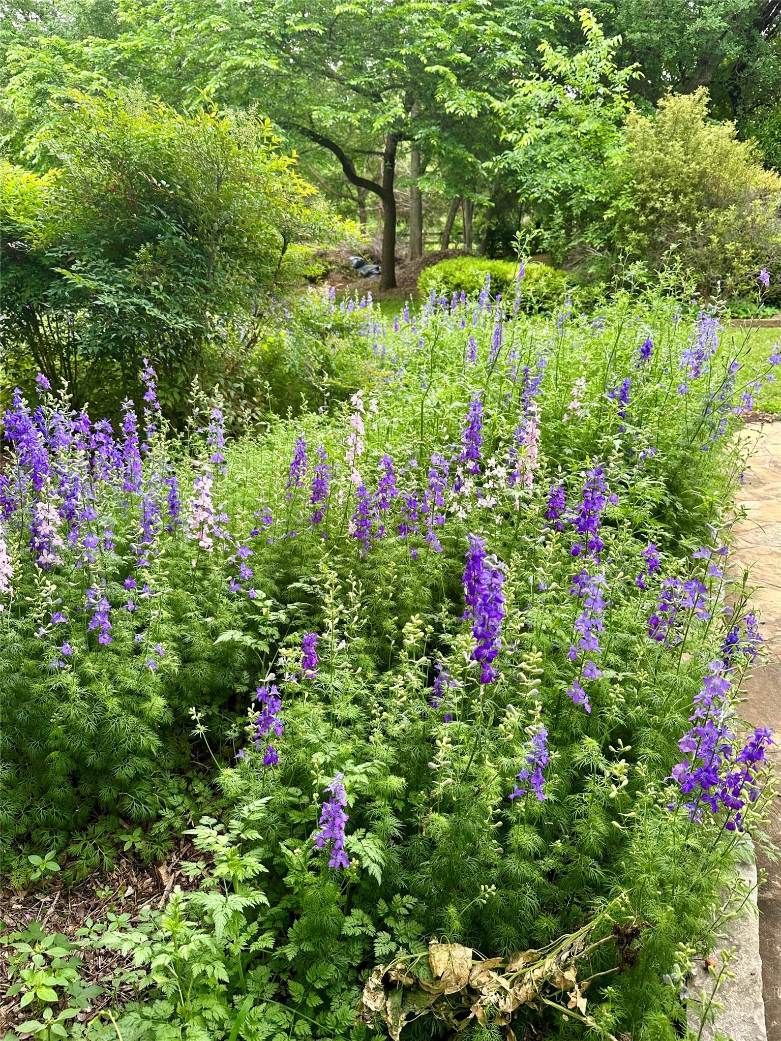 Image 3 Image 3