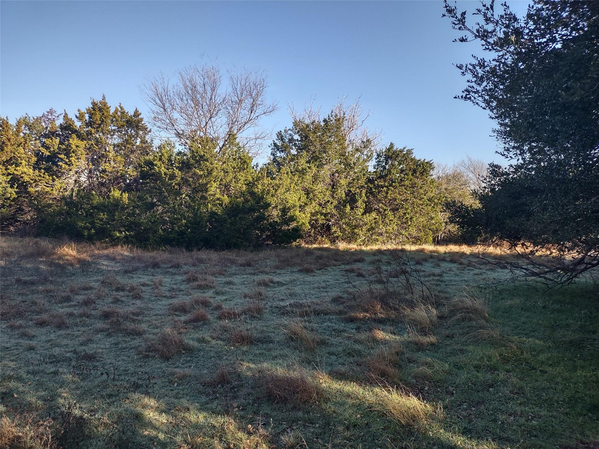 Image 4 Image 4