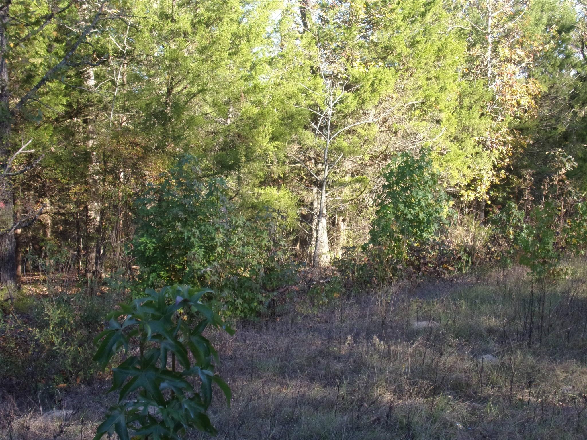 Image 3 Image 3