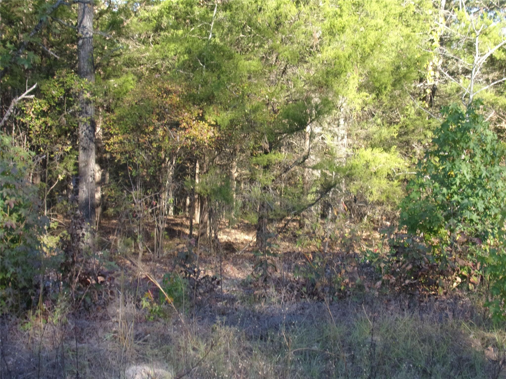 Image 4 Image 4