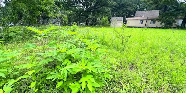 Lot 2 Cypress Avenue
